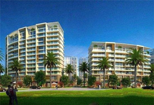 一只鲍鲍汁焖鸡