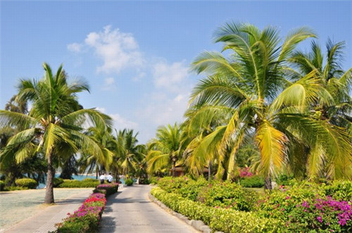 嘻多多石锅拌饭