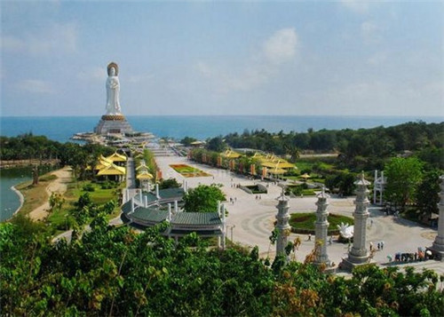 金麦夫手擀面