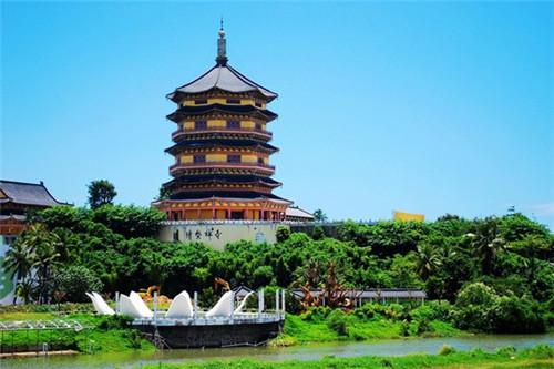 御茶园