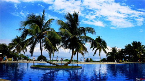 奶茶店怎么选主营行业好，奶茶店的渠道选择