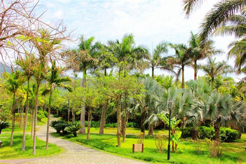 龙海市开店2025黄牛肉连锁店哪家品牌有优势，龙海餐饮