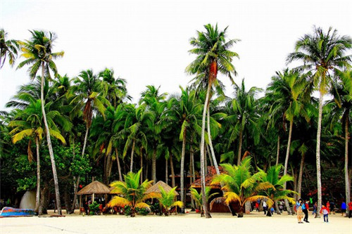 餐饮类的设计，餐饮设计初期需要做什么