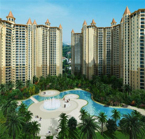 熊松鼠宠物店创业好项目，宠物店创业视频