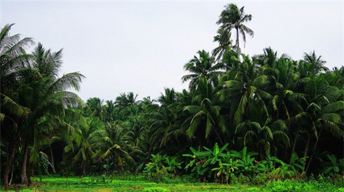 运动时听什么歌啊（运动时适合听什么歌）