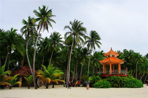 聚酯纤维和纯棉哪个好（衣服材质聚酯纤维和纯棉哪个好）