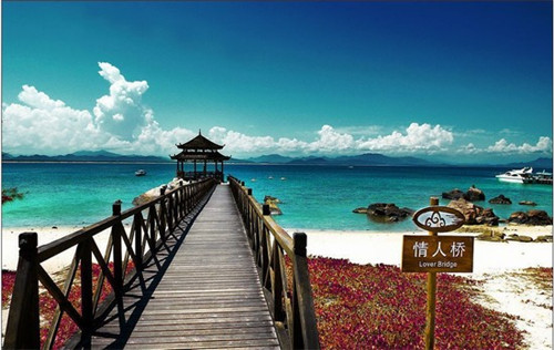 盖碗茶杯加盟火爆项目有哪些